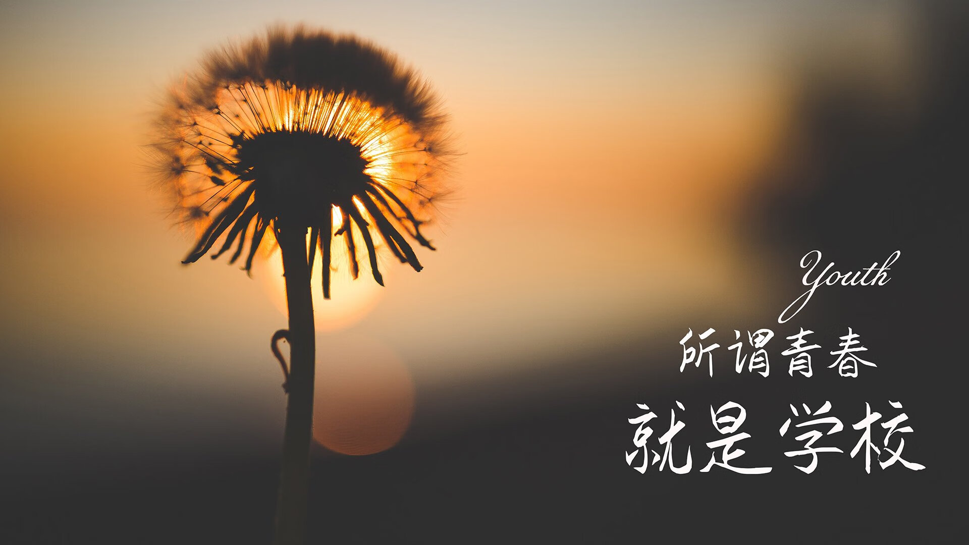 以足球文化为纽带，推动多民族融合发展，弘扬足球精神彰显文化魅力