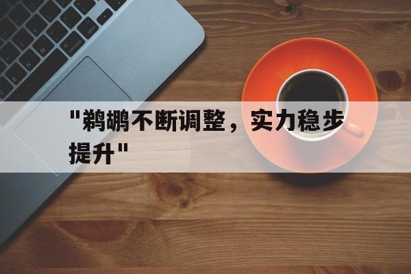 爱游戏官方-&quot;鹈鹕不断调整，实力稳步提升&quot;的简单介绍