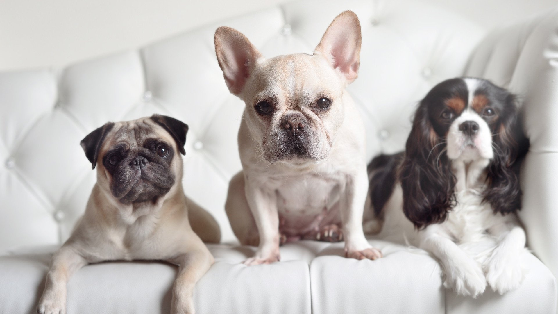 爱游戏登录入口-霍勒迪坦言防守端投入是胜利保障，霍勒迪主防库里