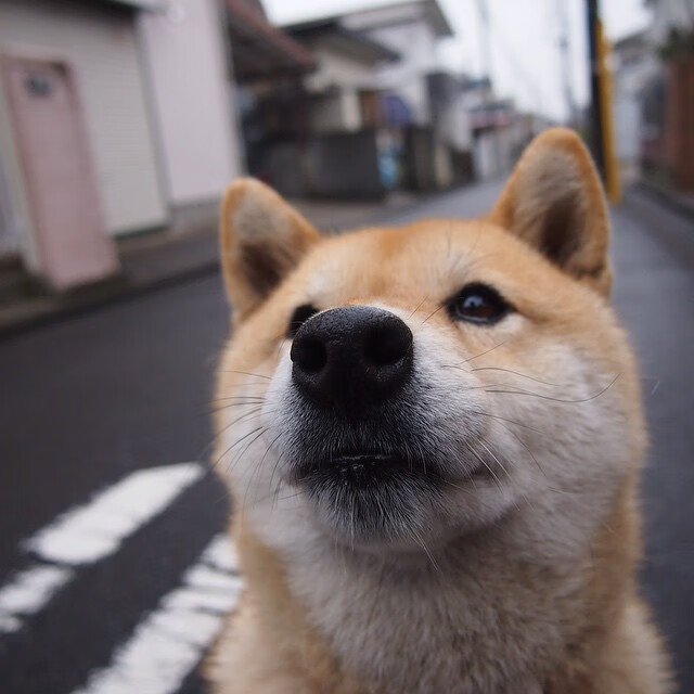 爱游戏体育（AYX）官方APP下载-中立B仰泳选手姿态协调度提升，中游体育仰泳手臂路线