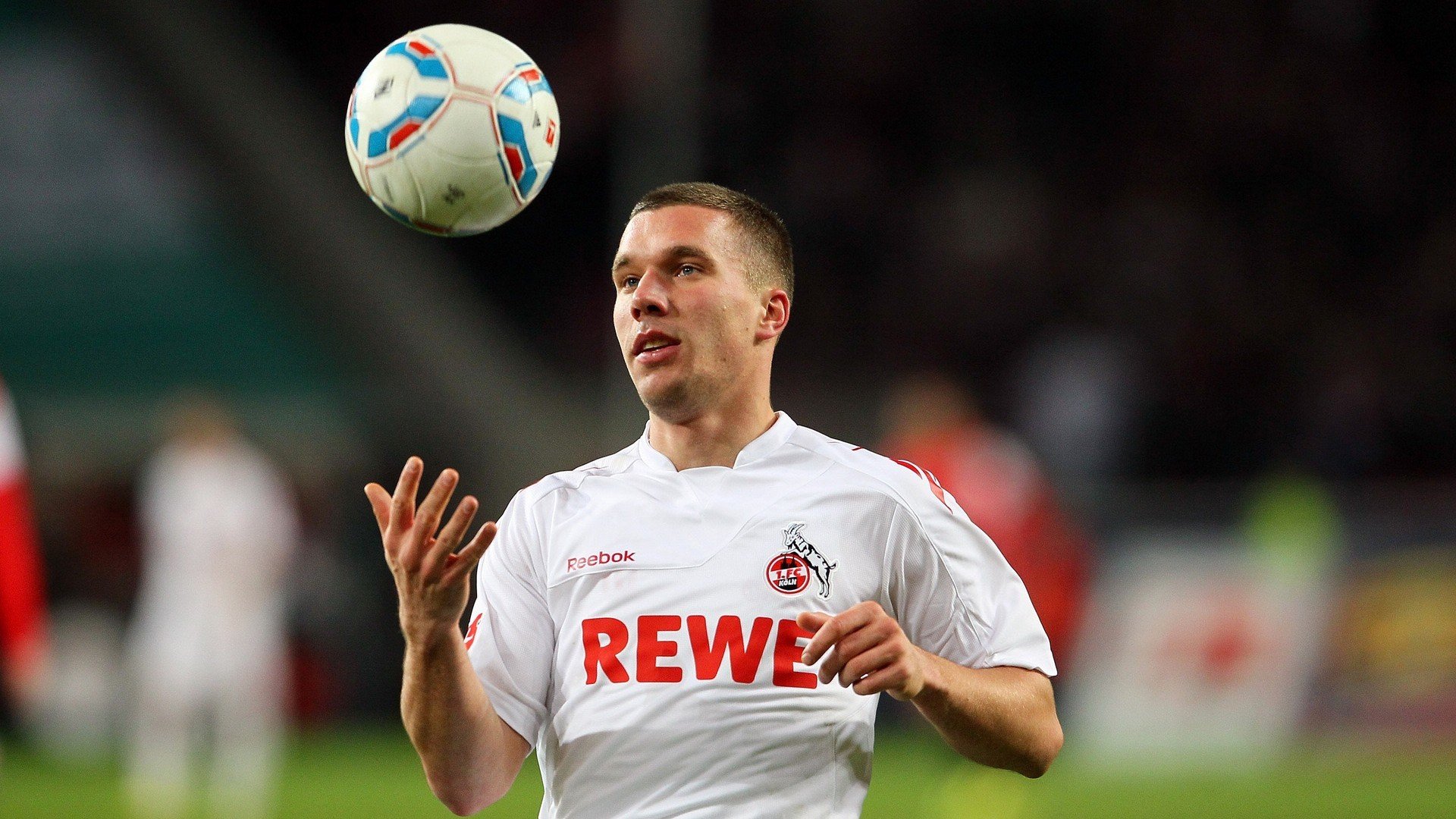 德国马术协会建立马术运动伤害预防中心，保障运动员安全。，马术德国队